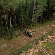The hidden carbon impacts of getting mass timber wrong