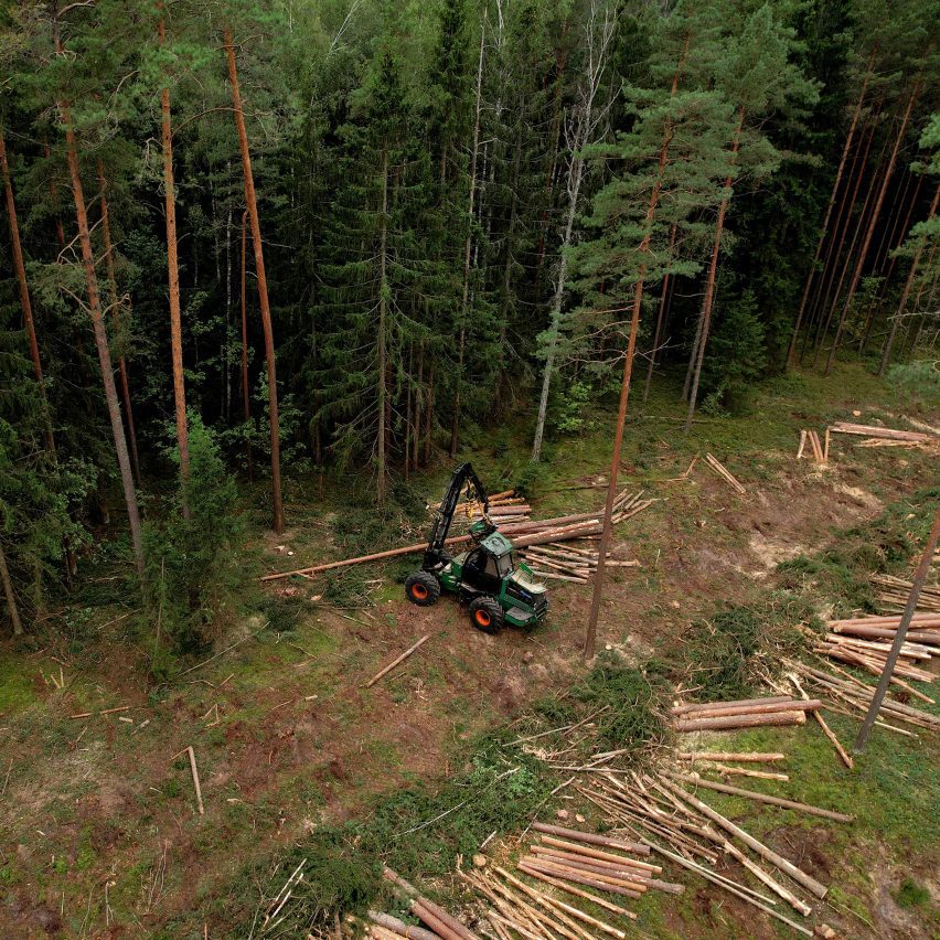 Image of a forest being logged by Maksim Safaniuk