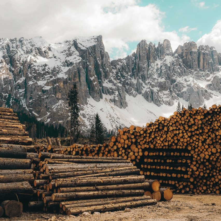 Pile of logs