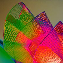 Colourful lattice Sensbiom II structure by Crafting Plastics