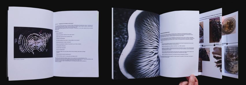 Composite image of book spread showing images and text about mycelium