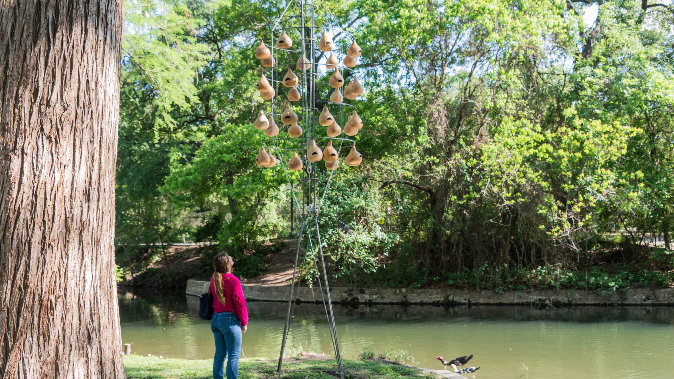 Snøhetta, Brooks + Scarpa among studios to create birdhouses in Texas - Vimarsana News