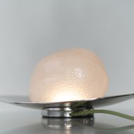 Citron lamp by Tongqi Lu Design
