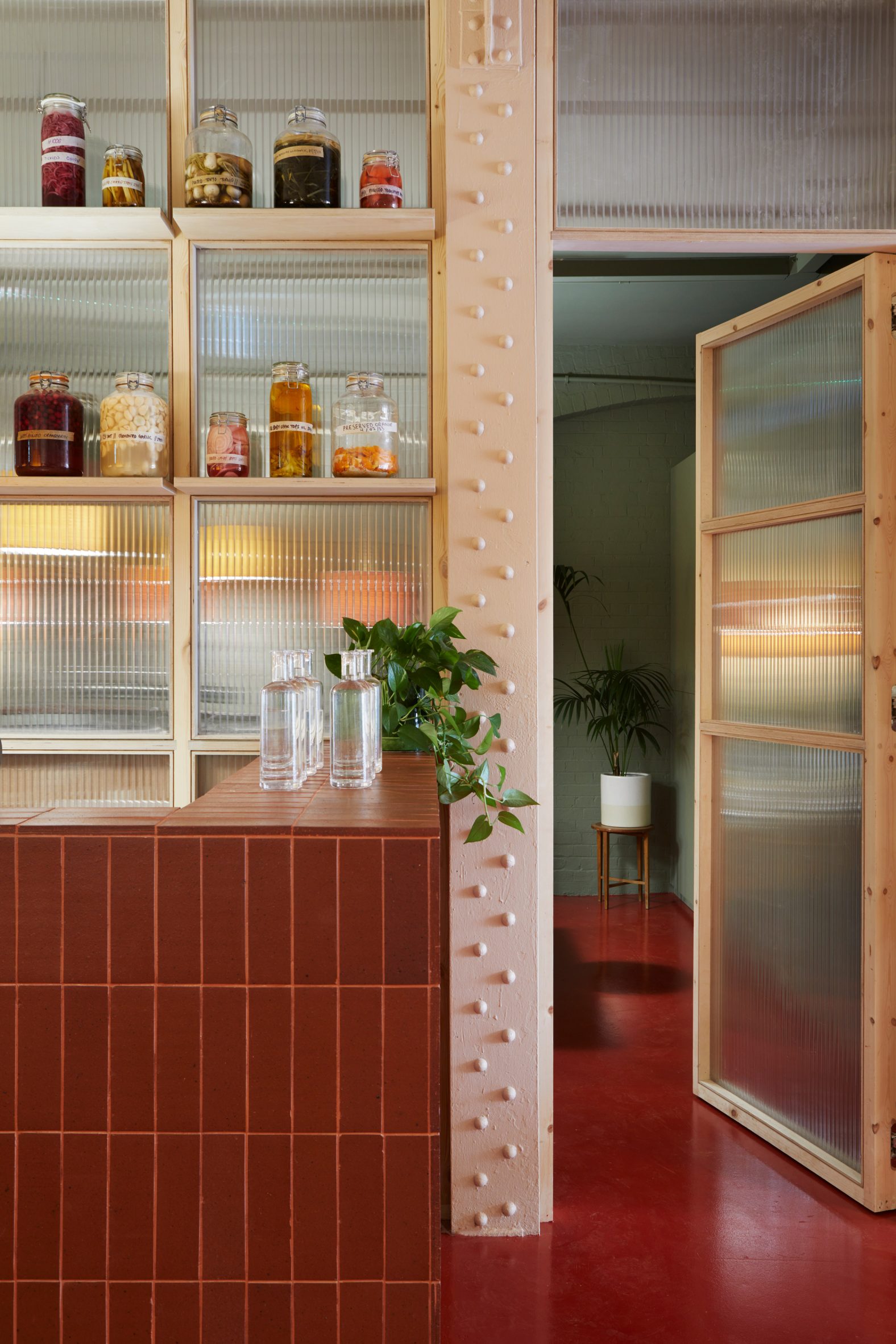 Polycarbonate wall with wooden shelves