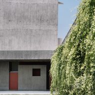 Concrete home with greenery growing over an exterior wall