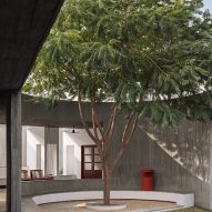 Outdoor courtyard with curved walls and a tree