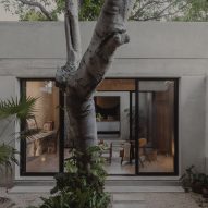 Outdoor courtyard with a tree and a one-storey concrete home with sliding glass doors