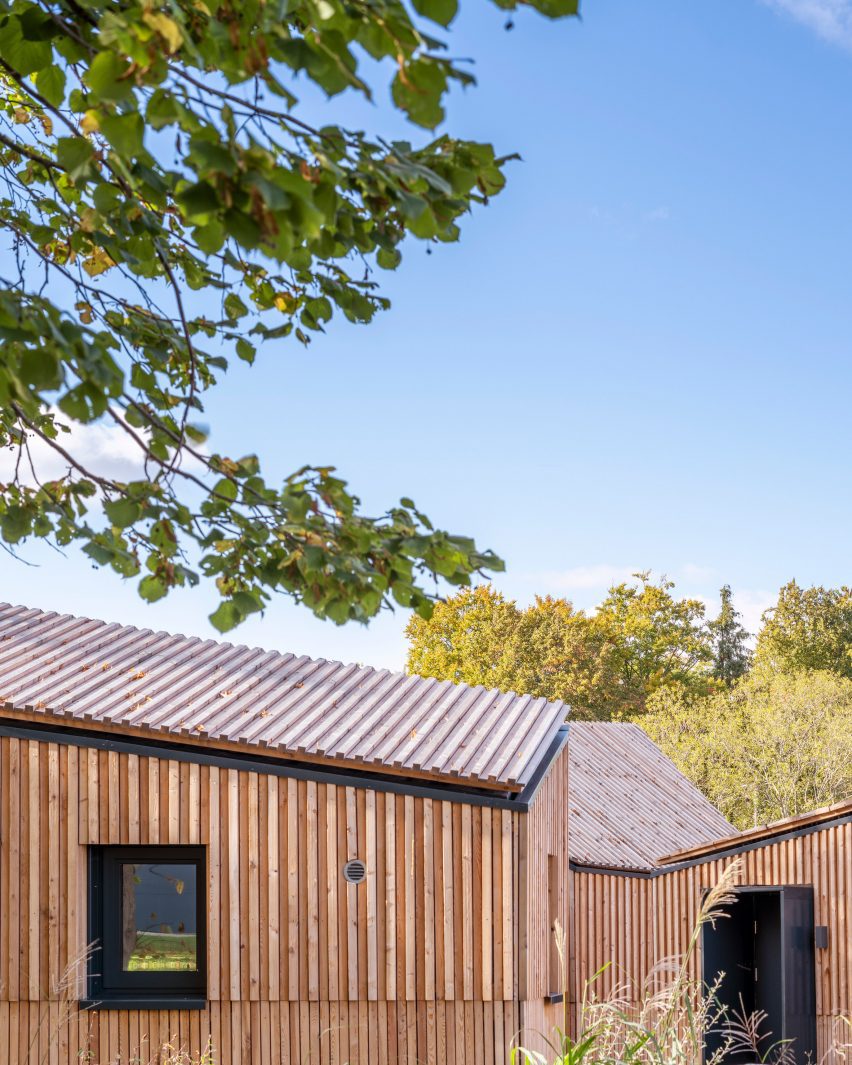 Office clad in Siberian larch