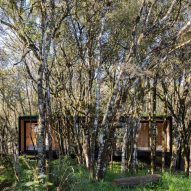 Twelve forest houses in deep woodland from Dezeen's Pinterest