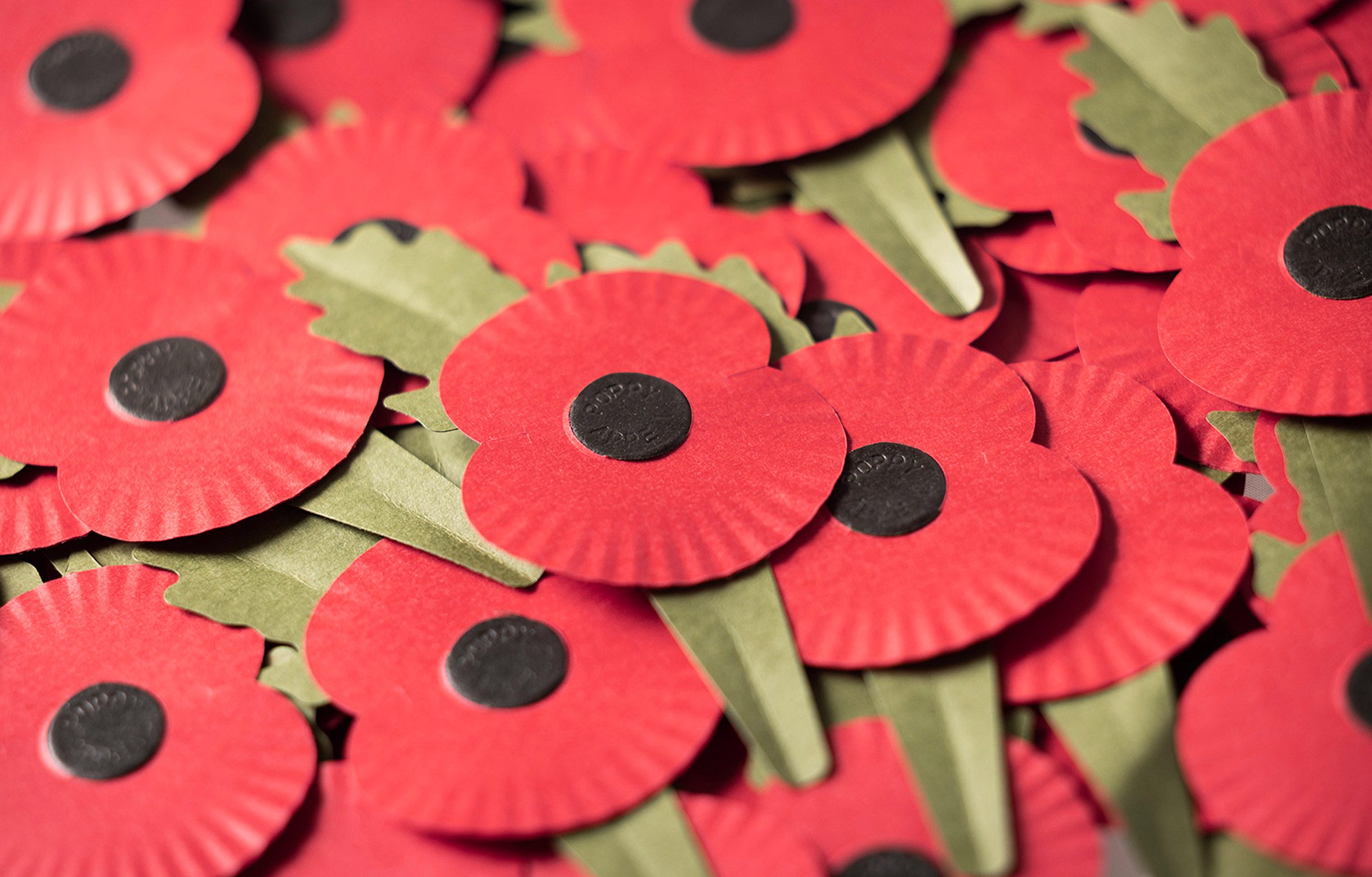 New Paper Poppies Available This Remembrance Day! - Two Sides