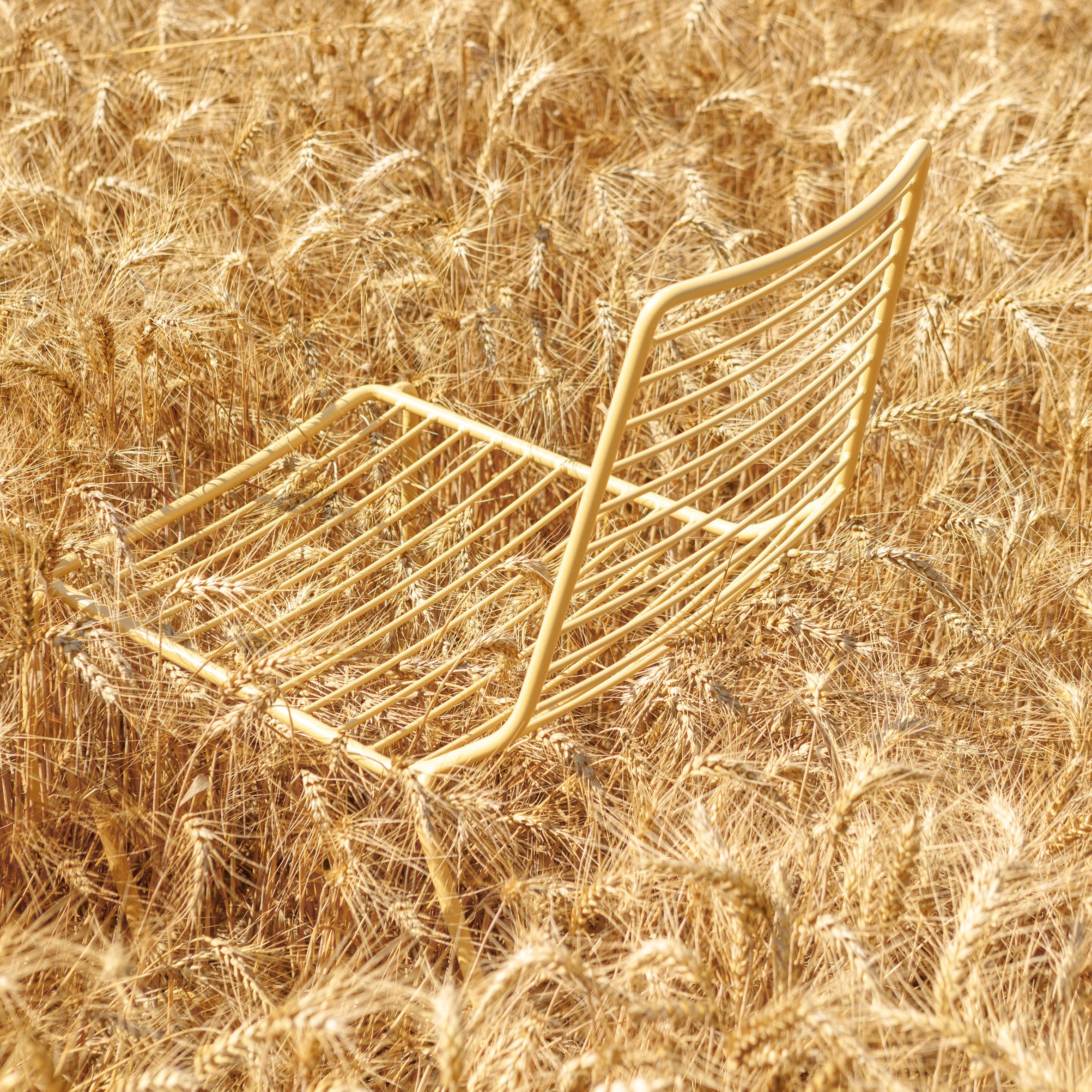 Yellow chair in field of yellow wheat