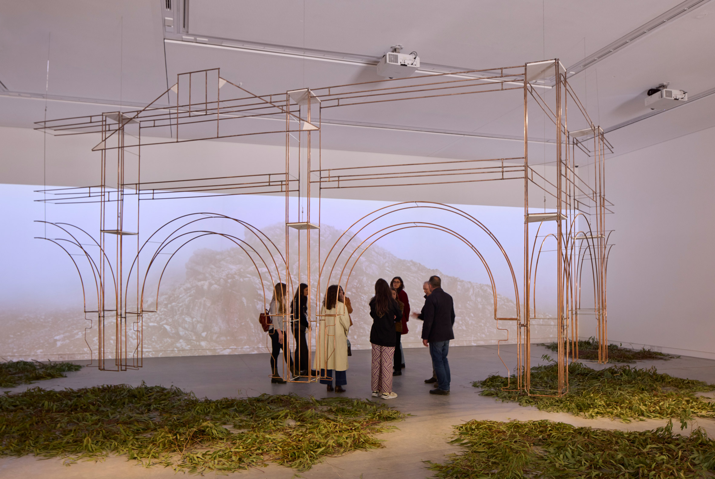 Australia’s Venice Architecture Biennale pavilion “questions the relics