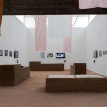 Brazil Pavilion Venice Architecture Biennale