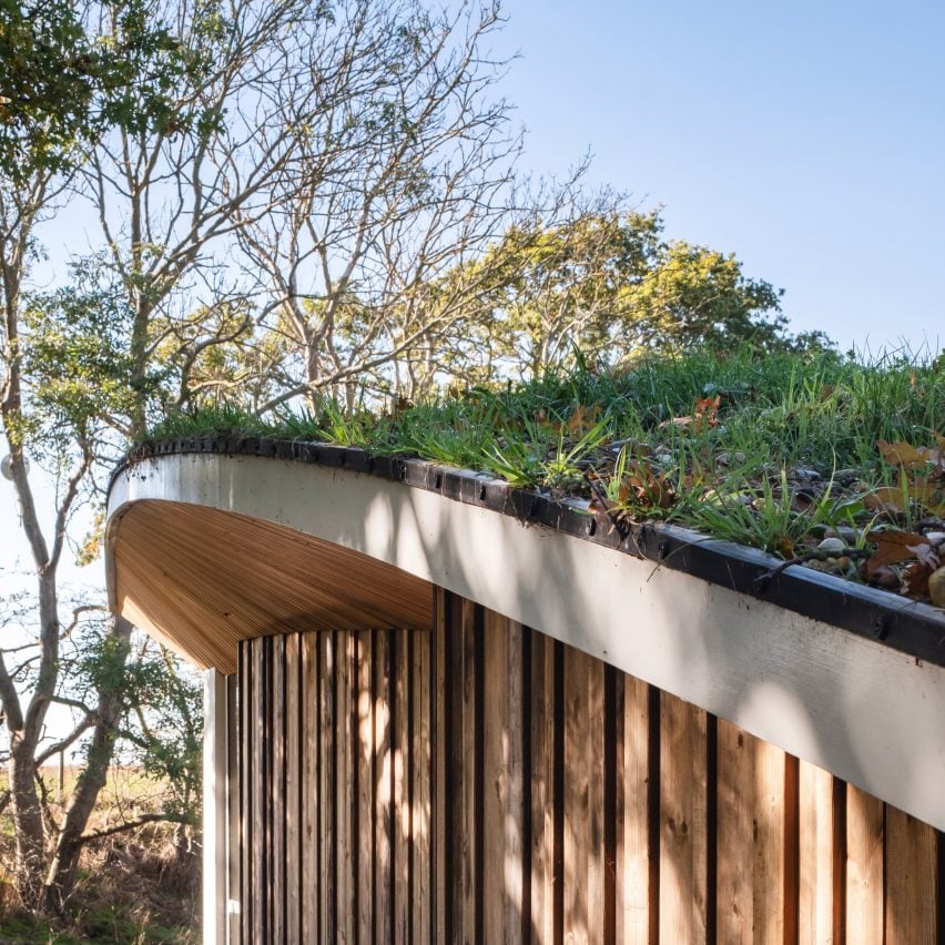 Green roof detail