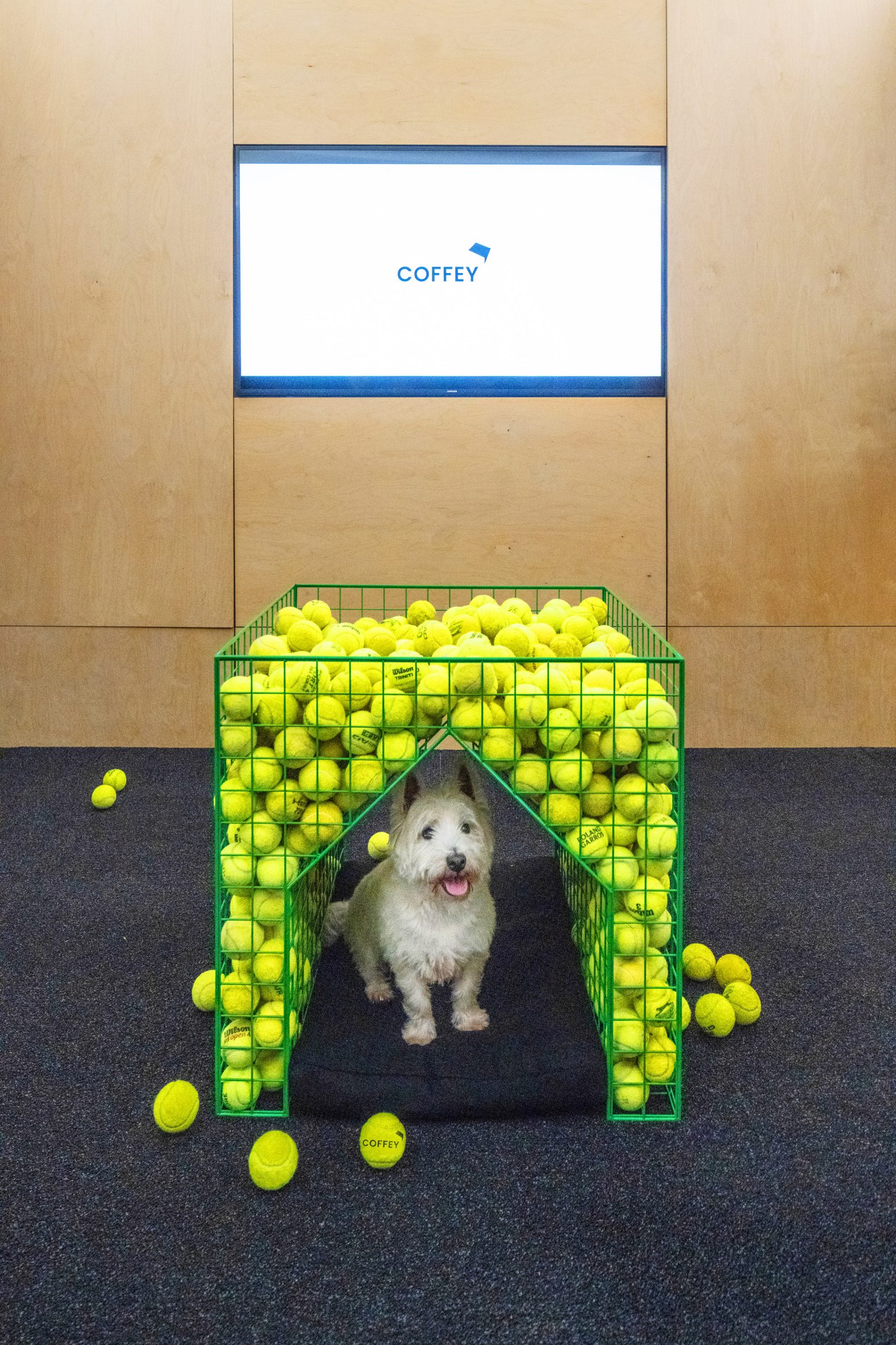 Fetch dog kennel inside Coffey Architects' office