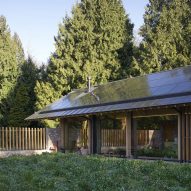 John Pardey Architects arranges home around New Forest wildflower garden