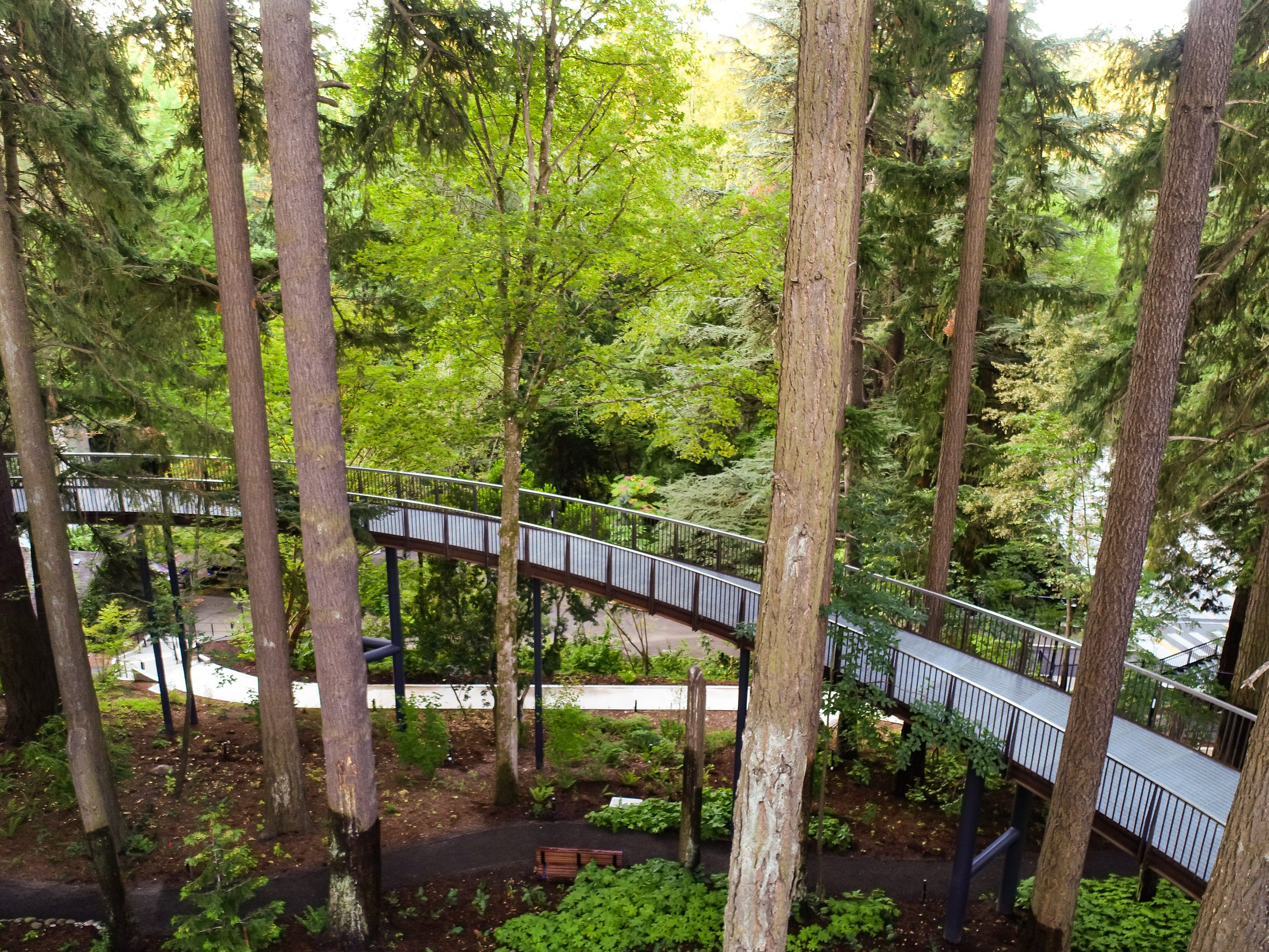 Aerial path that rises above the ground at the Leah Botanical Garden