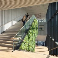 Large wooden staircase with glazed external walls and green internal wall