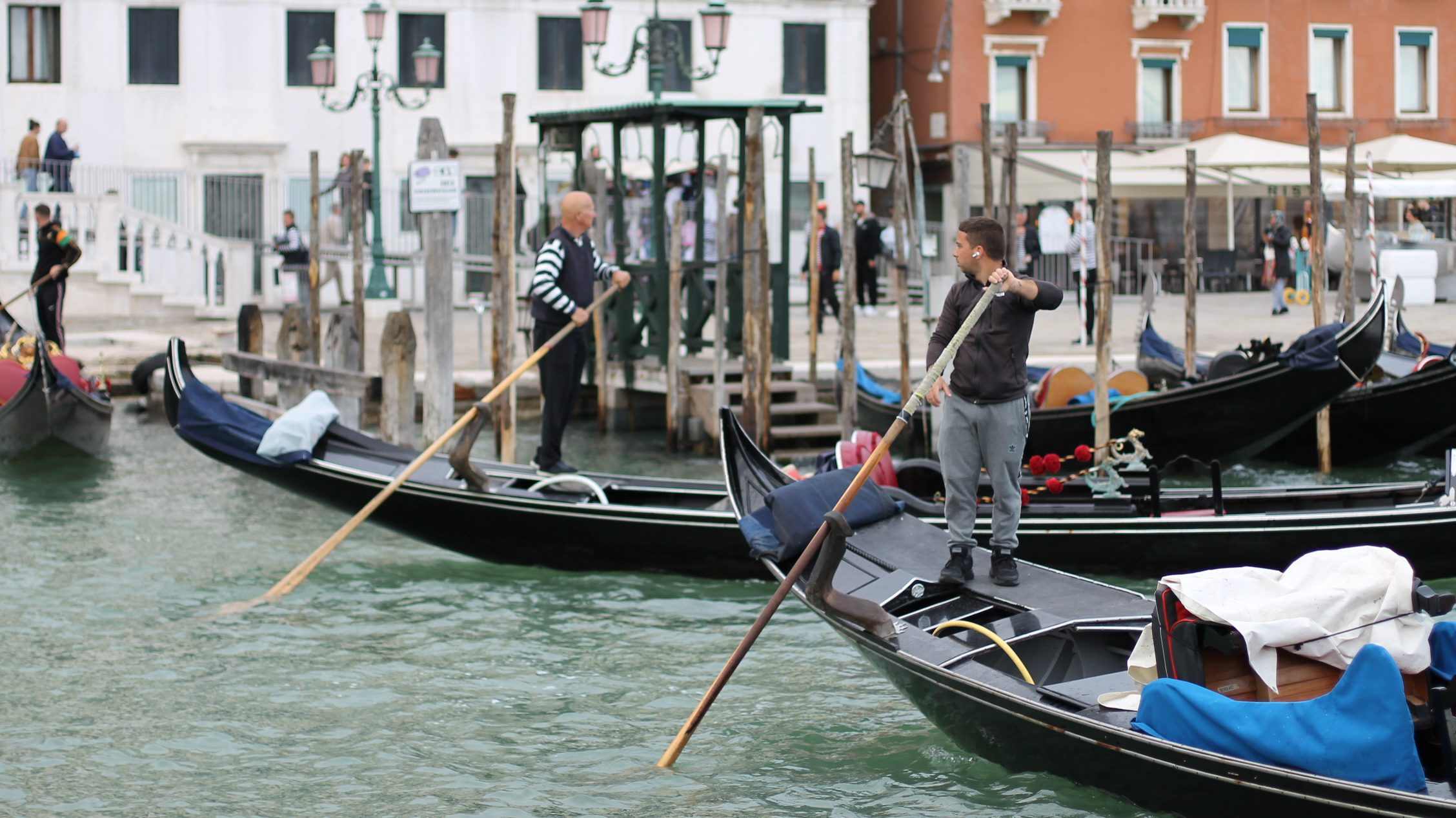 Day two from Venice Architecture Biennale - Vimarsana News
