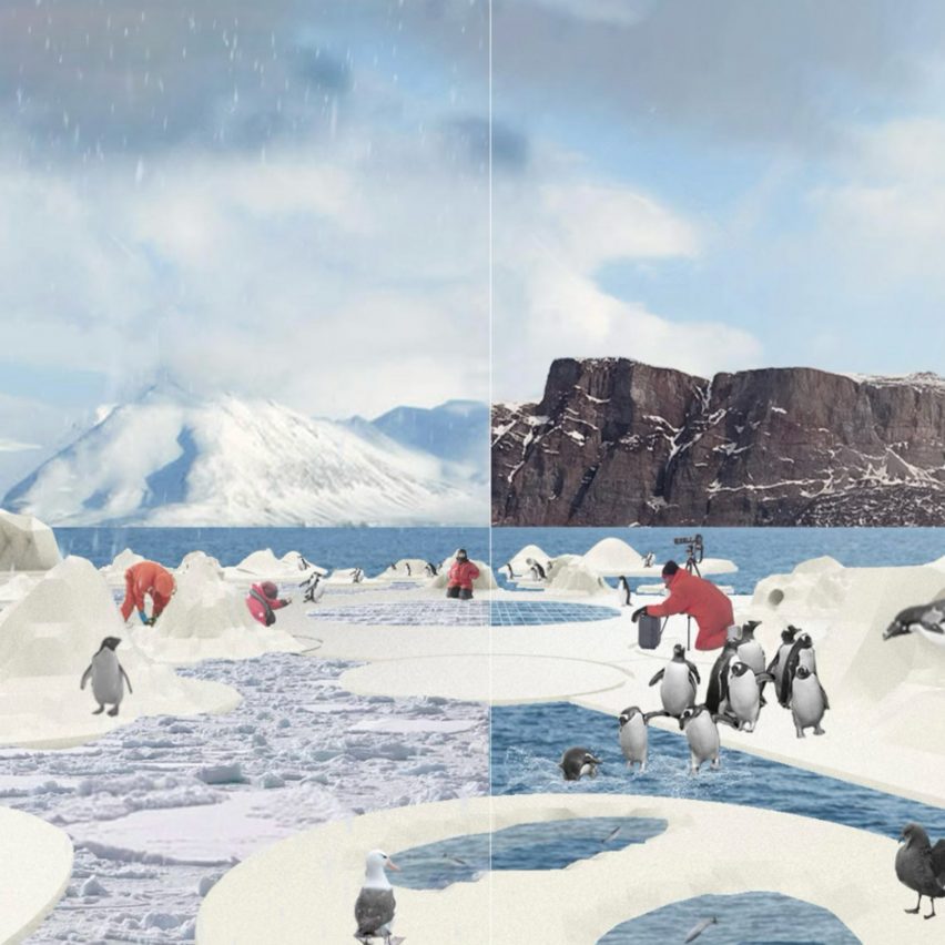 Visualisation showing Arctic region with penguins and seabirds