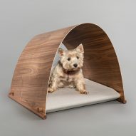 White dog in curved kennel