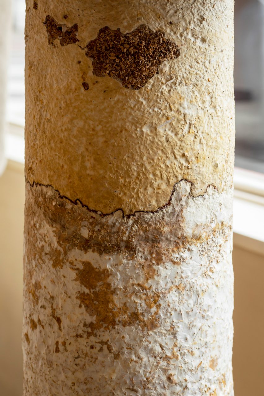 Mycelium and Reishi mushroom species were used to create plinths and legs for the displays