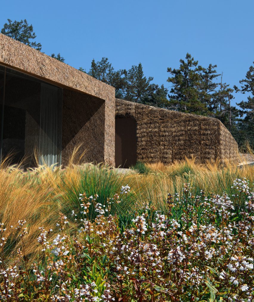 Thatch house designed by BIG