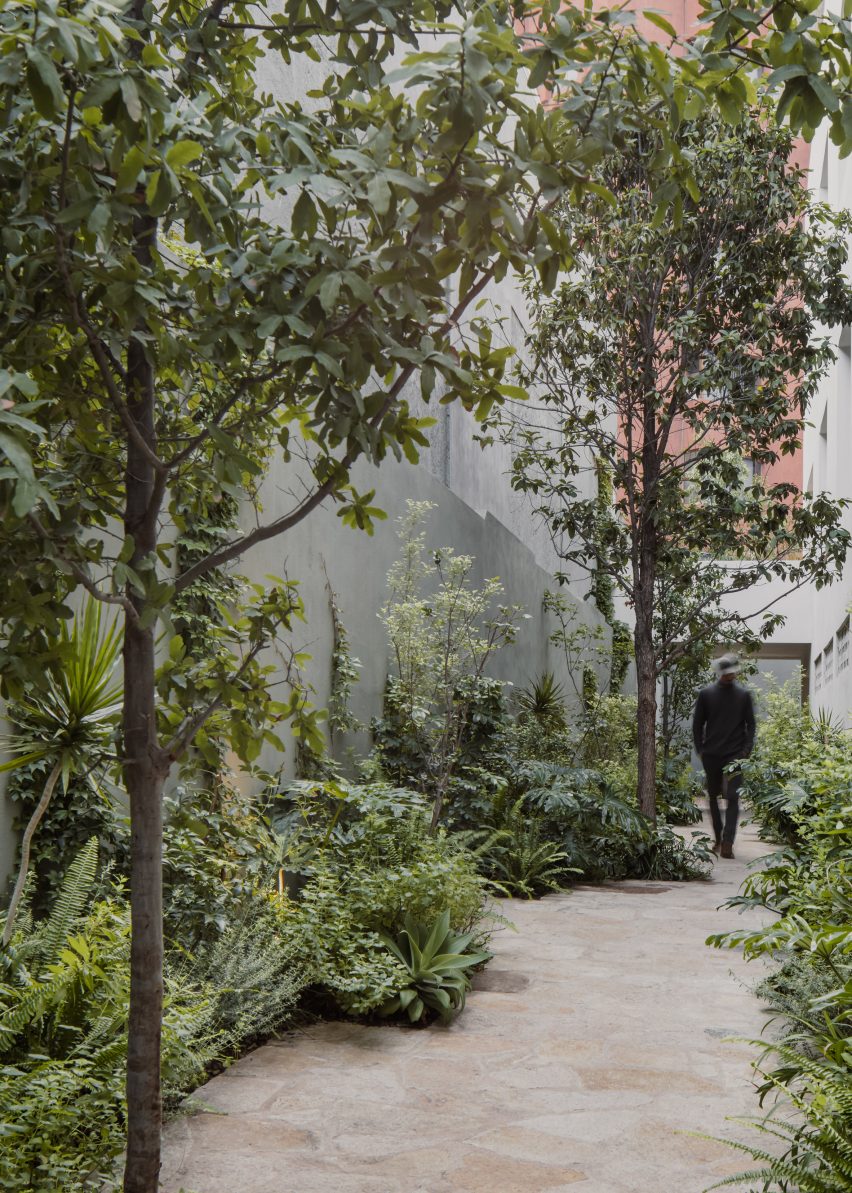 A concrete outdoor courtyard with tall planting