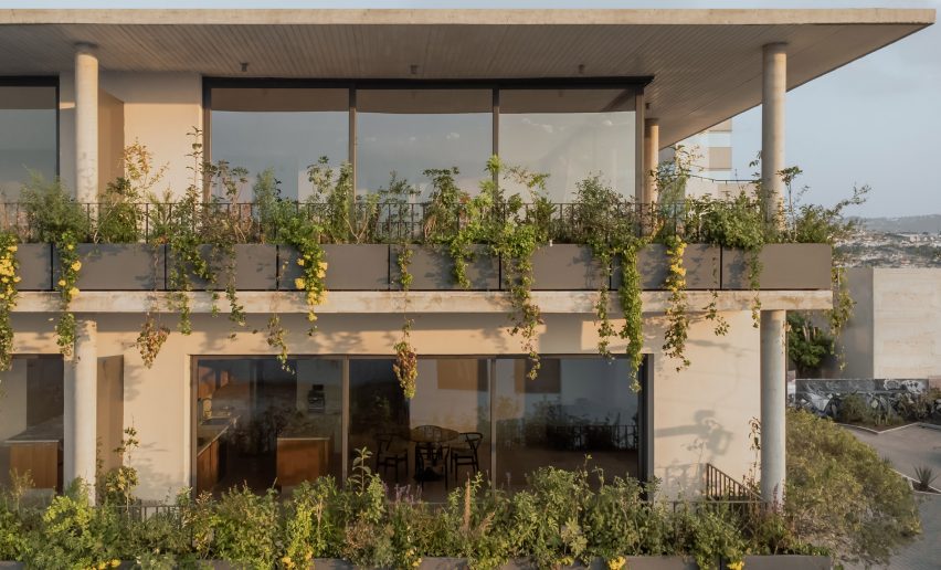 Засаженные растениями балконы многоквартирного дома в Мексике