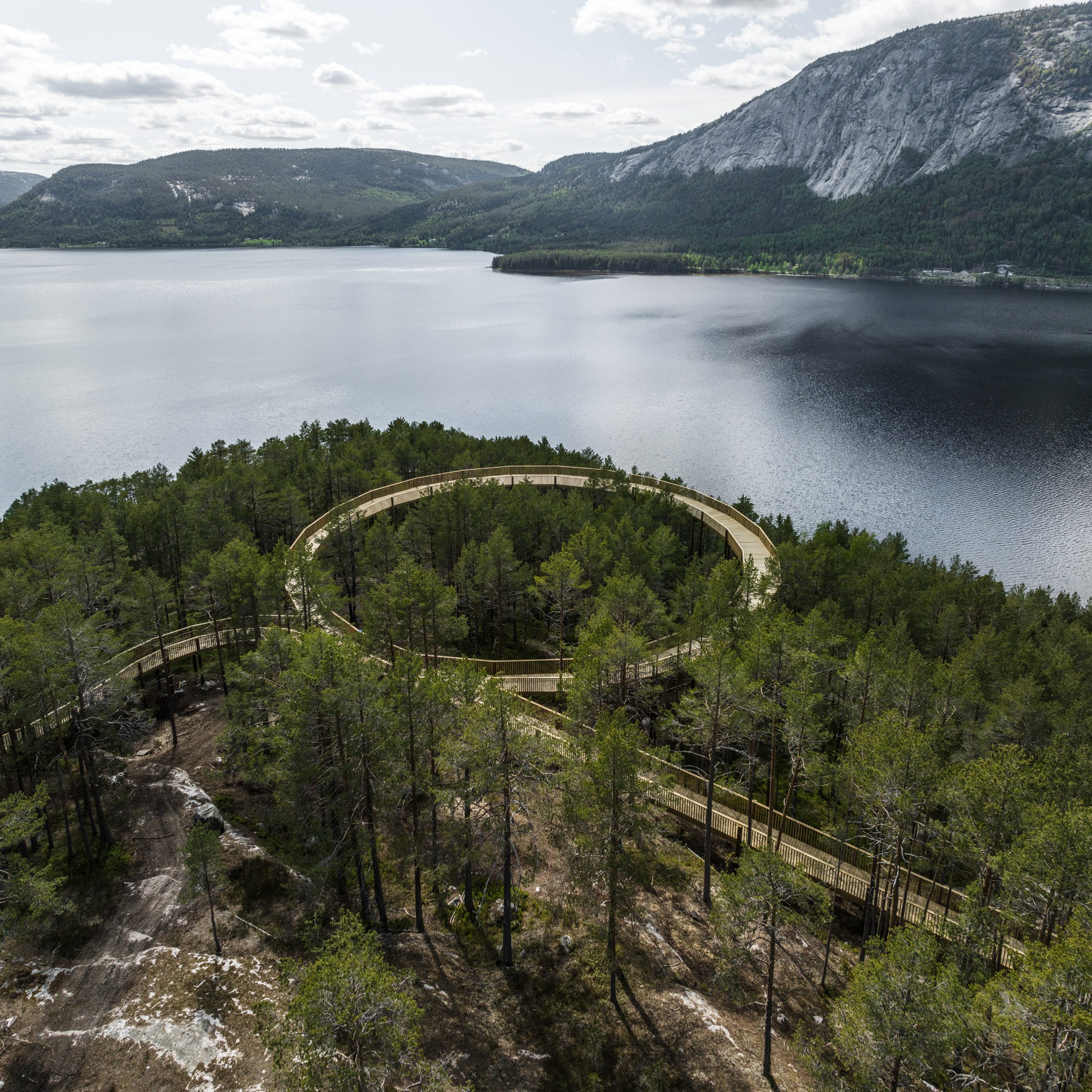 Norway's first treetop walkway