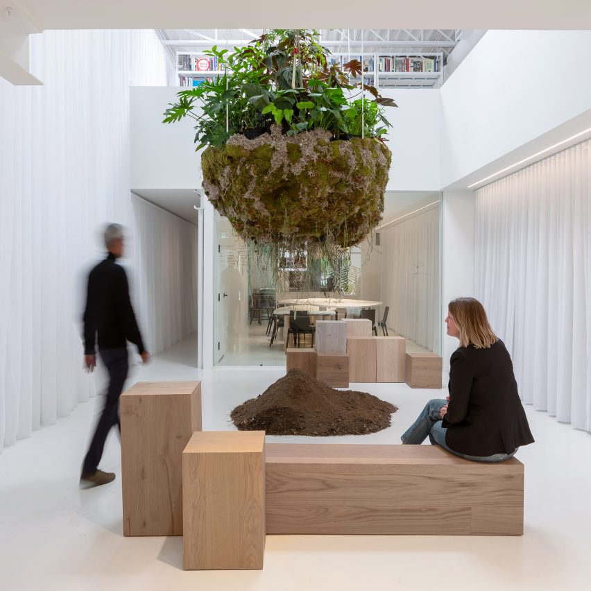 Atrium with plant and moss installation suspended from above