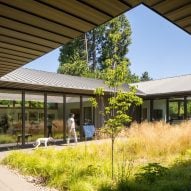 Waechter Architecture places rain garden within Meadow House in Oregon