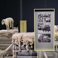 Oltre Terra exhibition calls for "constructive relationship" between humans and sheep