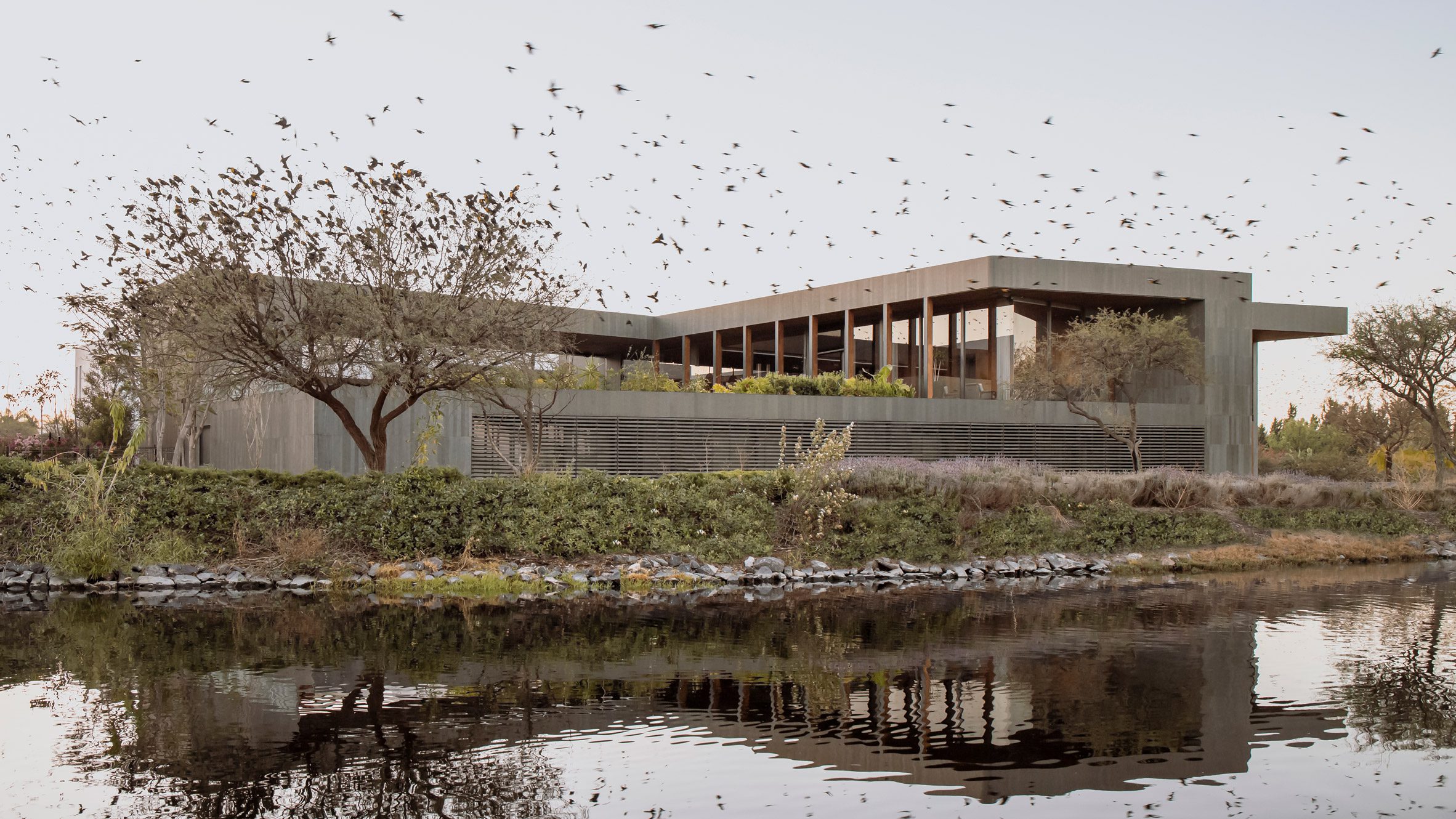 Reims 502 places pool atop basalt-clad Mexican home - Vimarsana News