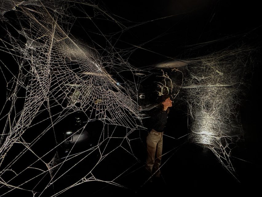 Photo of a visitor to the Serpentine gallery looking at a complicated spiderweb installation in the near dark
