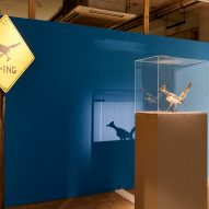 Roadrunner bird puppet at the Asteriod City exhibition