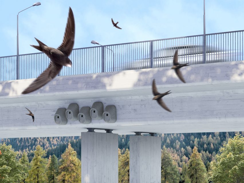 Birds flying around a bridge with nesting boxes beneath it