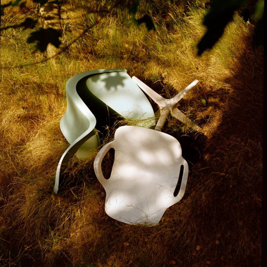 Photo of chairs in wildlife