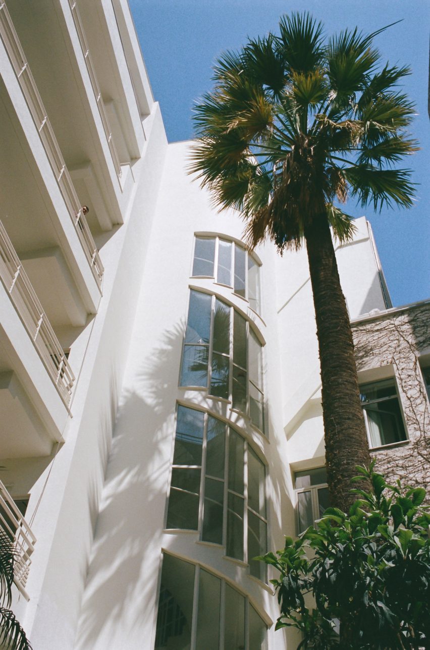 Tall white building exterior with a palm tree