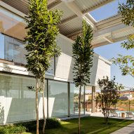 Two trees and grass in front of a contemporary home in Brazil