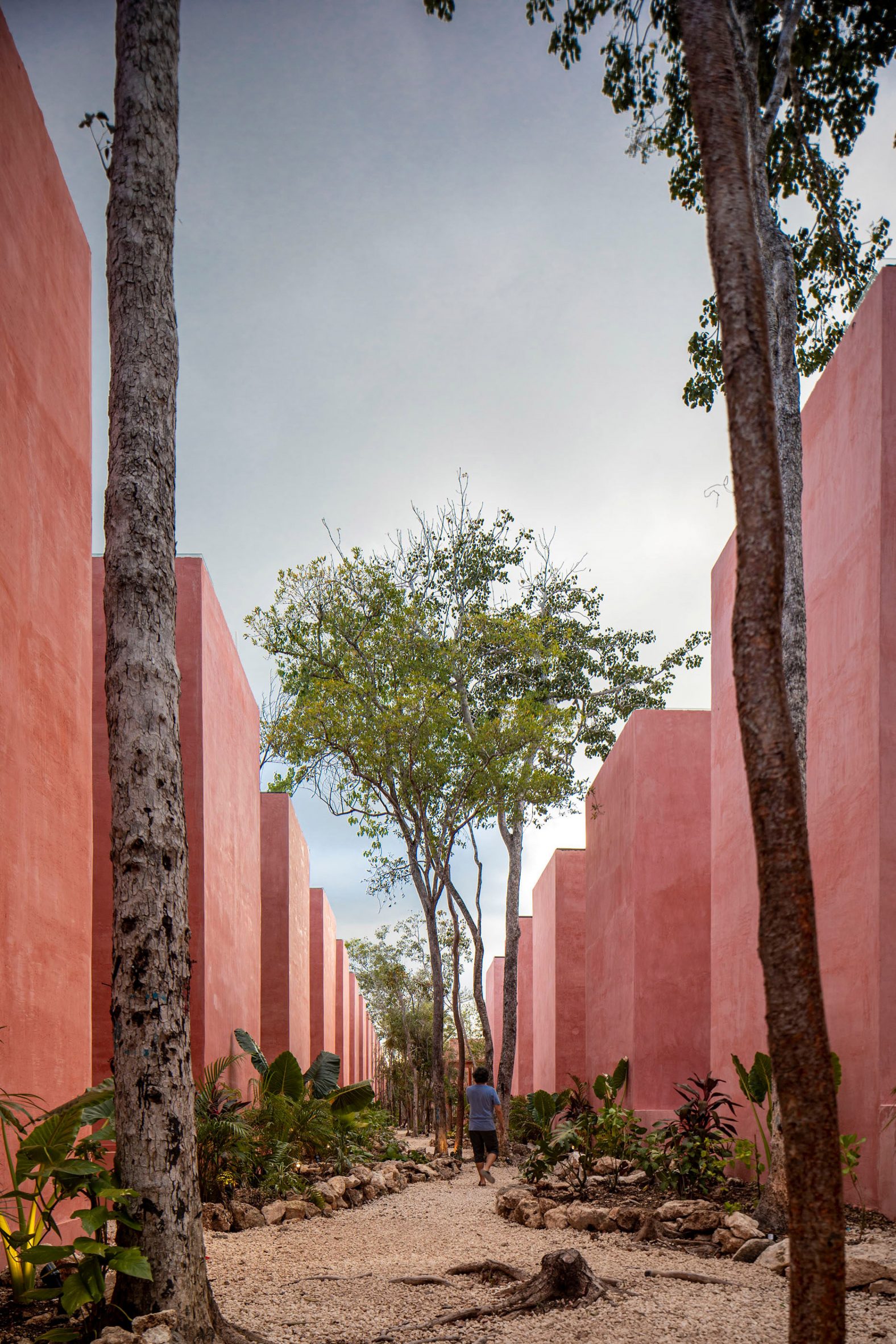 Coyote Arquitectura designs repetitive red housing in Tulum