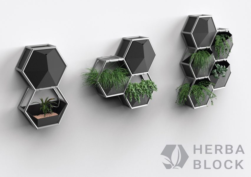 Hexagonal devices to help house plants grow in the city