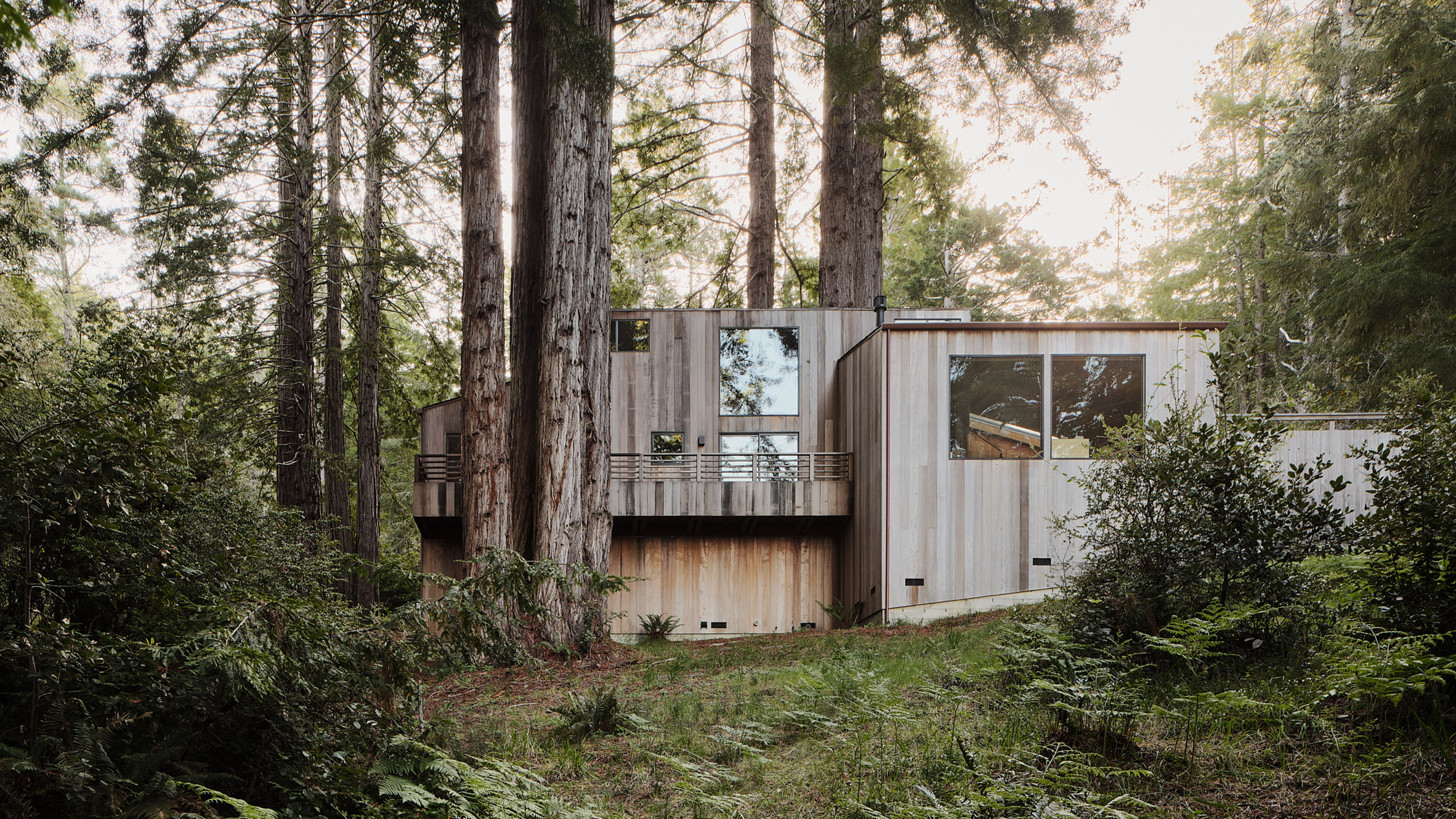 Joanne Koch renovates wooden cabin retreat in Sea Ranch - Vimarsana News