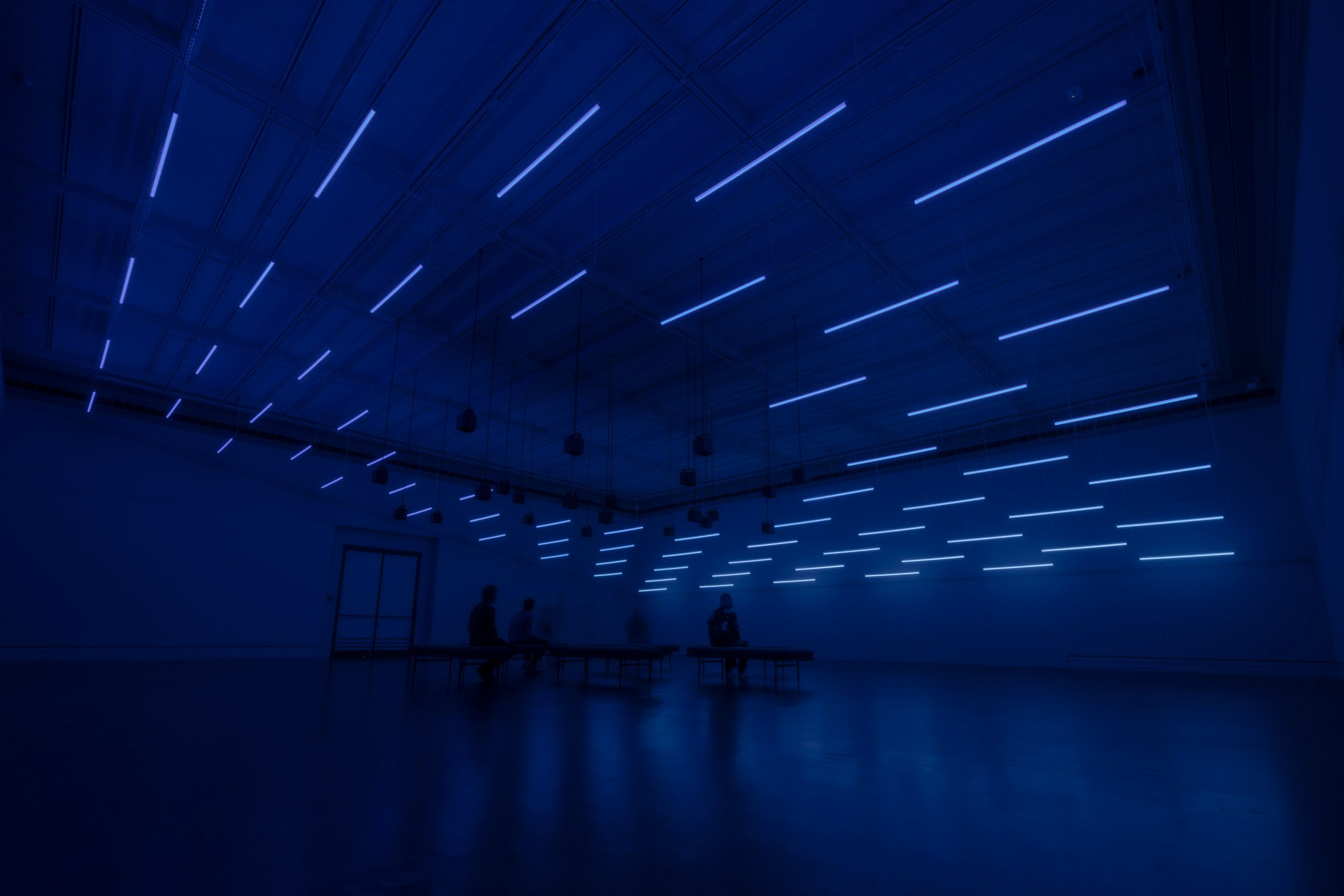 Photo of a dark room partially illuminated with blue light for the Machine Auguries installation