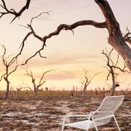 White bench under spindly tree in outback
