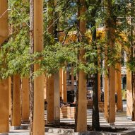 Timber beams in grid formation alongside trees in Leeds City Square