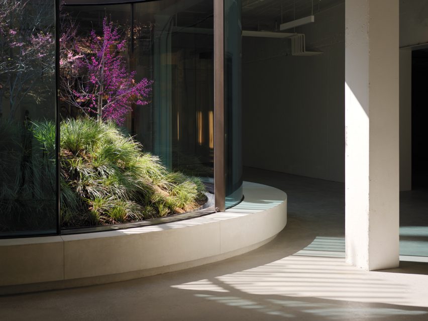 Light well with a sunken garden of trees and herbs