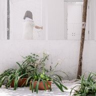 Plants in front of perforated metal screen wall with courtyard behind