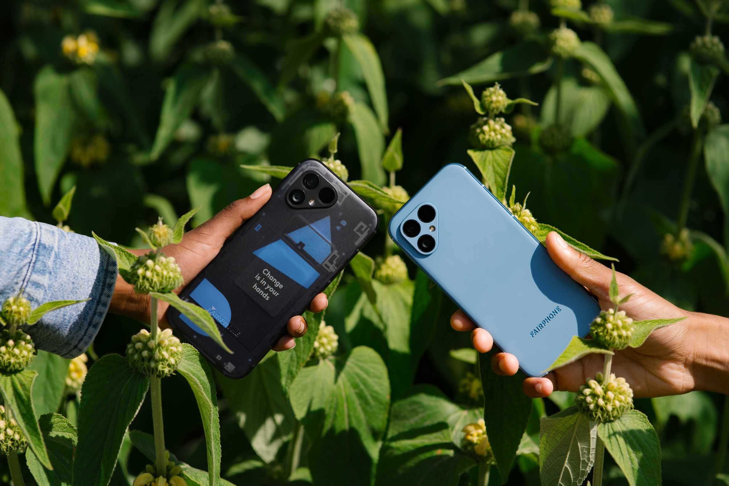 Photo of two editions of the Fairphone 5, one in a blue colour, one transparent, being touched together like clinking glasses against a background of green foliage