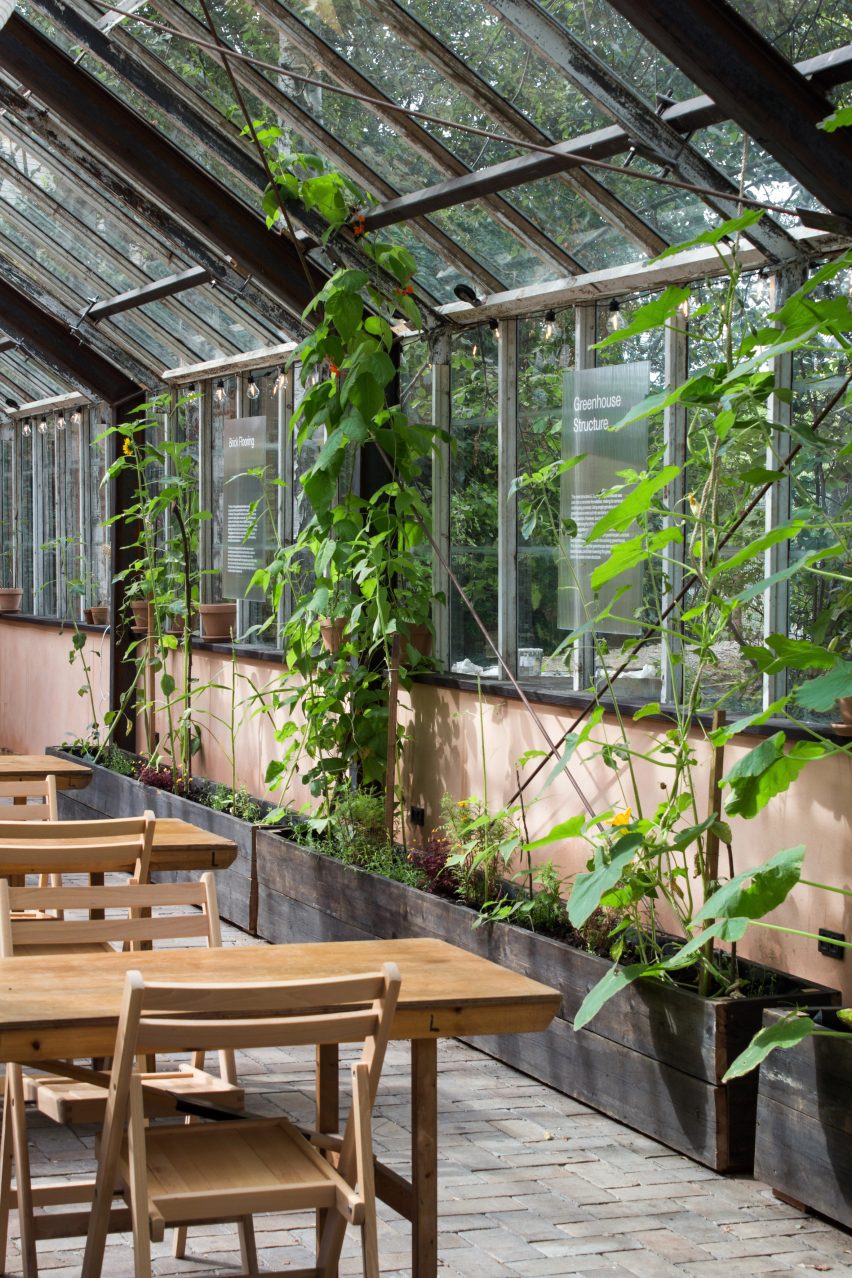 Plants in Væksthuset greenhouse by Forma